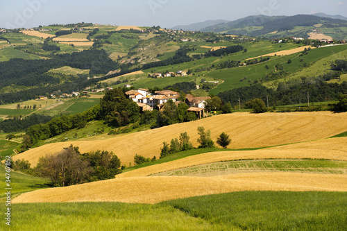 Landscape in the Oltrepo Pavese (Italy)