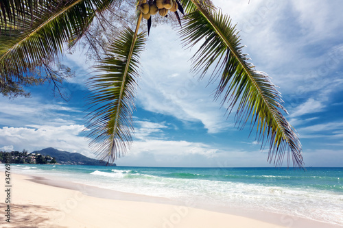 Fototapeta Naklejka Na Ścianę i Meble -  Exotic tropical beach.