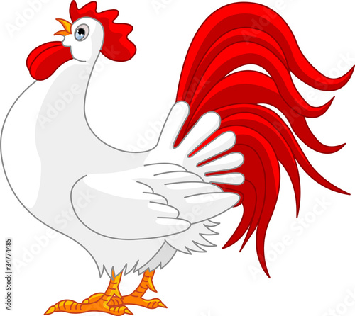 Rooster