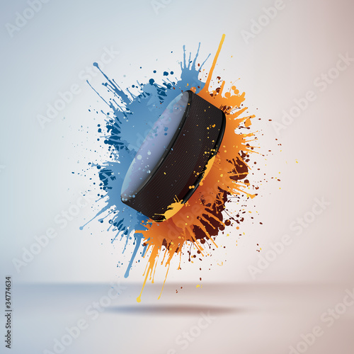 Hockey Puck