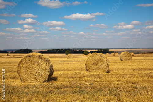 Haybale landscape