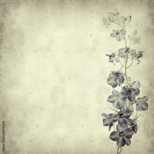 Canvas Print textured old paper background with delphinium flower spike