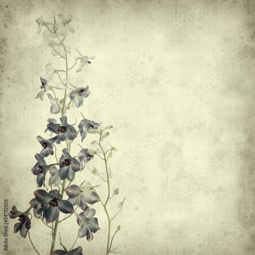 Fotografia textured old paper background with delphinium flower spike