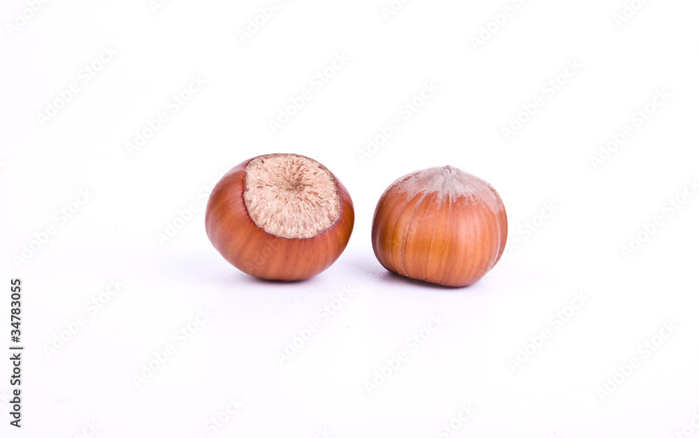 hazelnuts on white hazelnuts on white