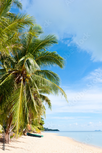 Tropical beach with coconut palm trees at Seychelles