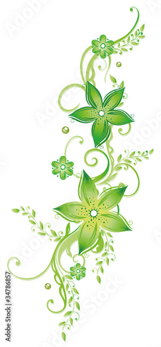 Ranke, flora, Blumen, Blüten, Grüntöne, Grün, Hellgrün