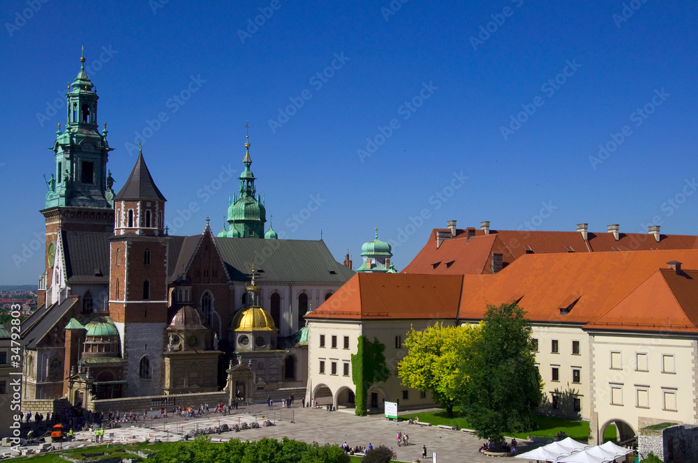 Fototapeta premium Wawel - Krakau - Polen