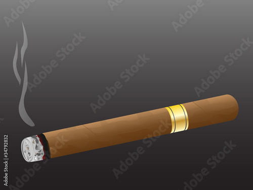 Cigar. Vector.