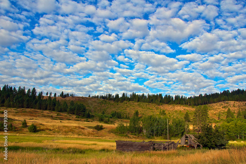 Field & Sky II