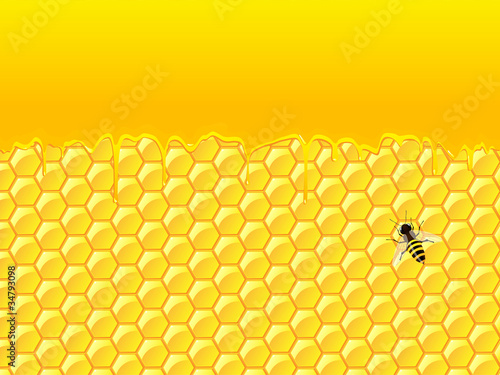Bee with honeycombs. Vector.