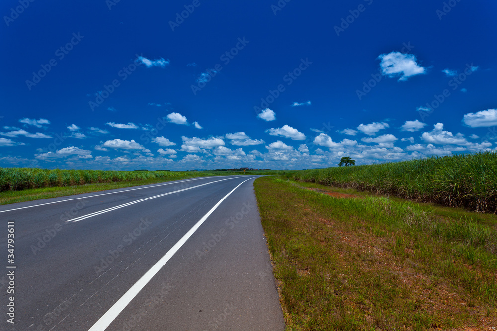 Rural road between sugarcane field