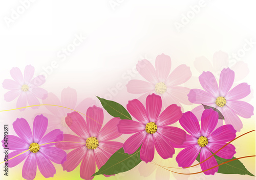 Background with beautiful color flowers. Vector illustration.