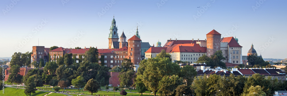 Naklejka premium Wawel Castle Panorama