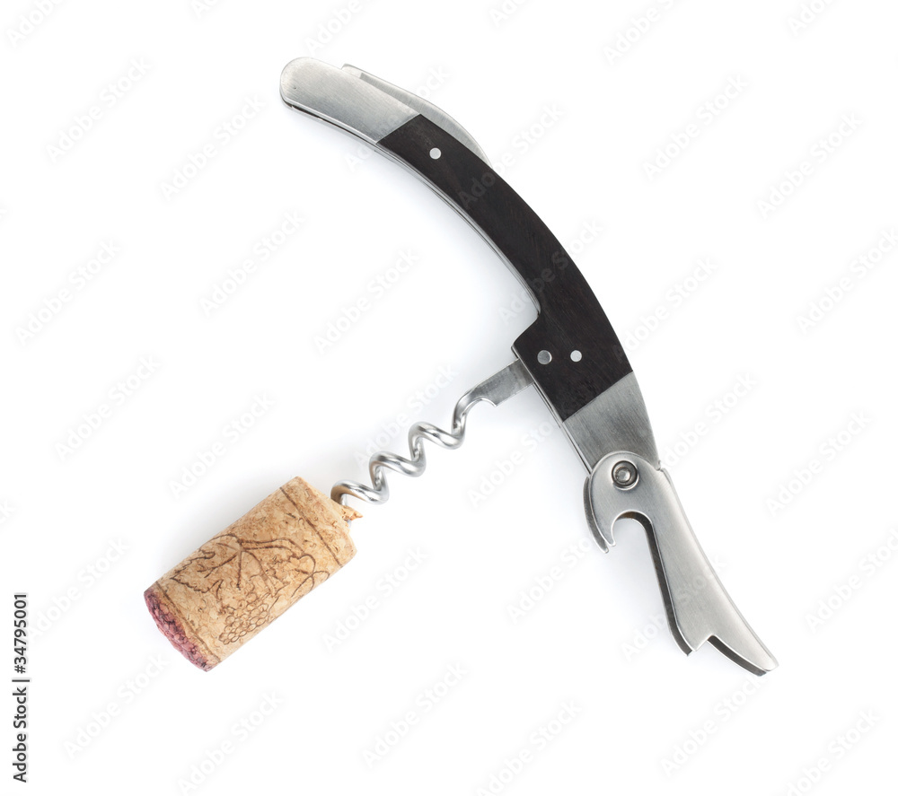 Corkscrew with wine cork Corkscrew with wine cork