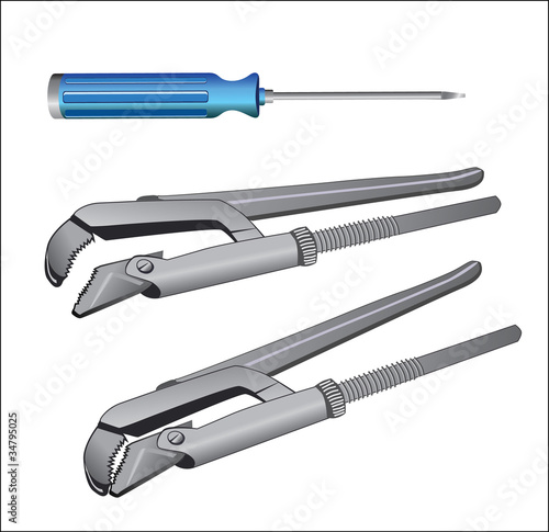 Instruments gas key and a screwdriver in the vector