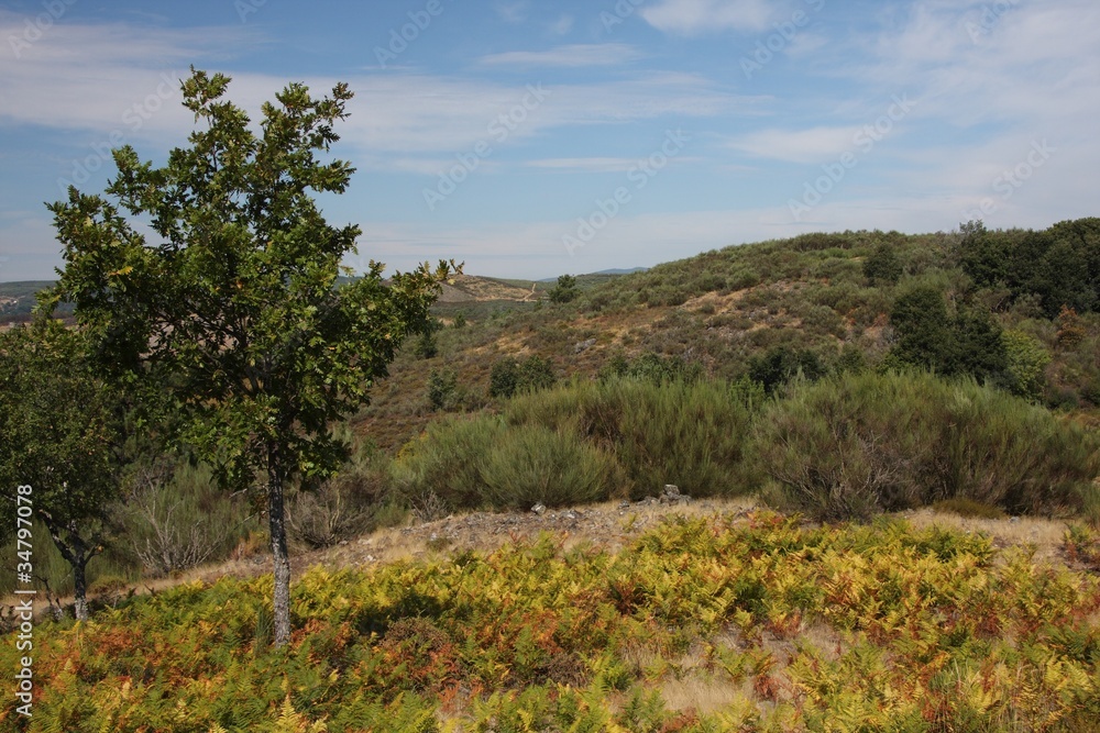 Campagne portugaise