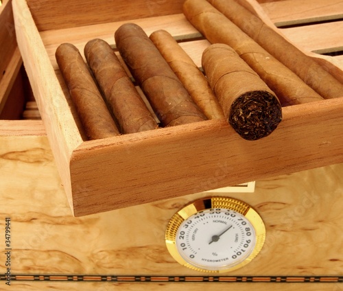 Cigars in open humidor box photo