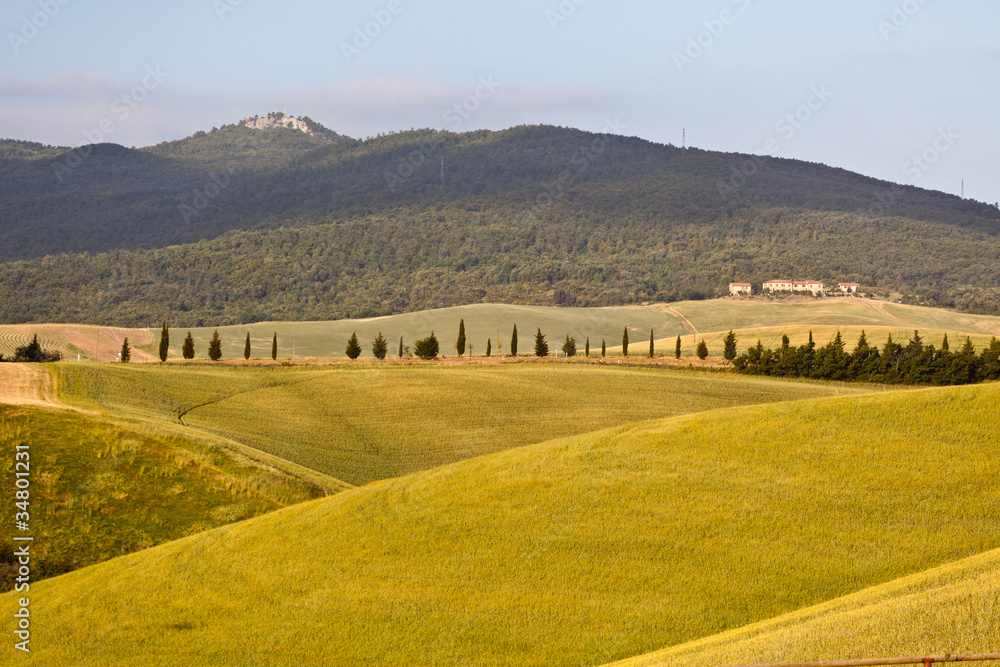 Tuscany Hills at Sunrise