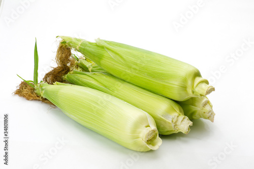 Sweet corn in the husk on white