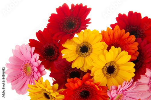 Corner colorful Gerber flowers
