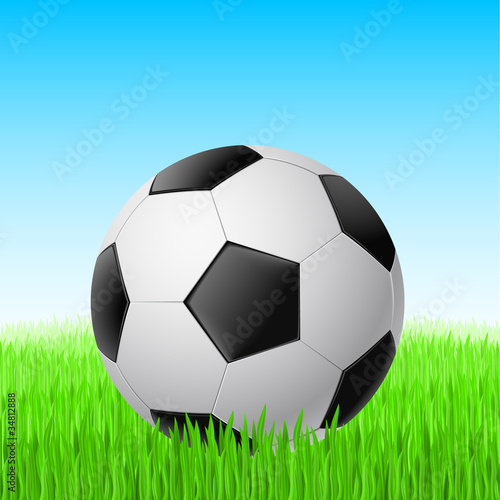 Soccer ball on grass.