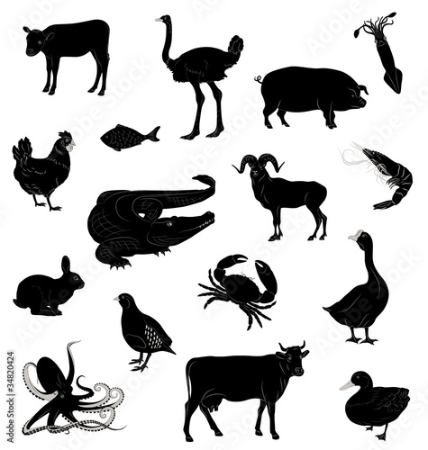Set with silhouettes of various animals