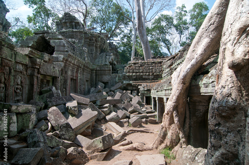 Ta Prohm, Angkor Ta Prohm, Angkor