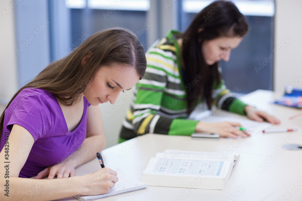 in the library - two female students with books in the library - two female students with books