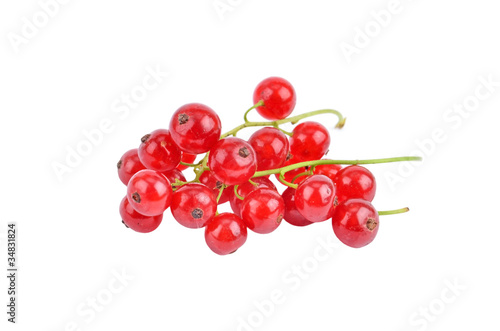 Branch of berry red currant, isolated on a white background