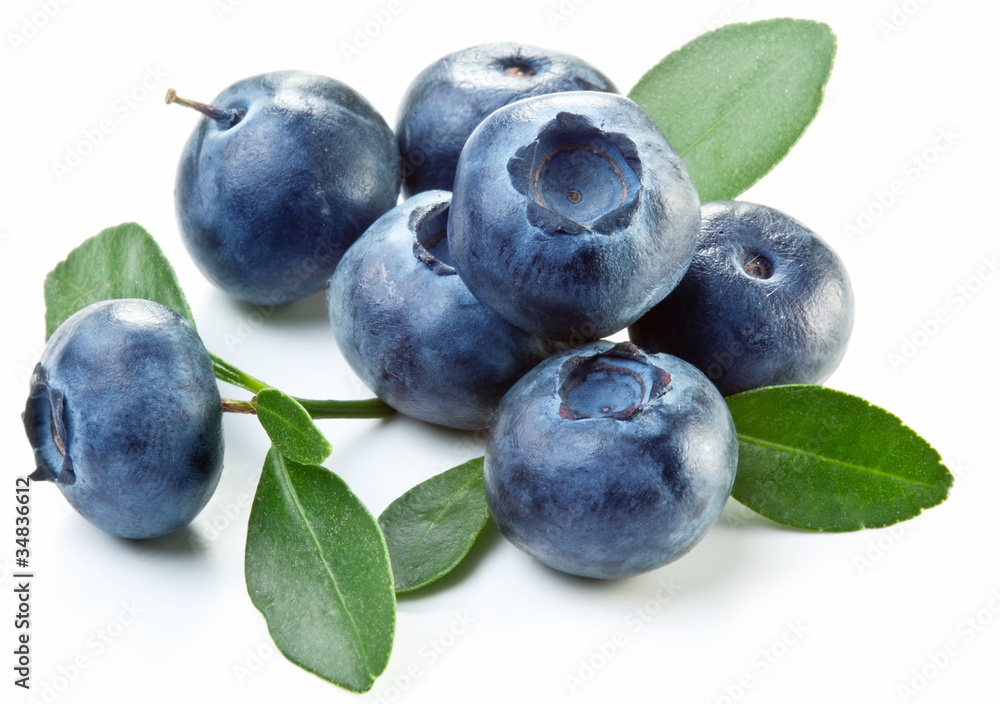 Blueberries with leaves Blueberries with leaves