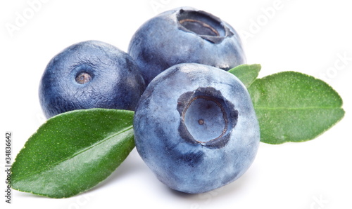 Fotografi Blueberries with leaves