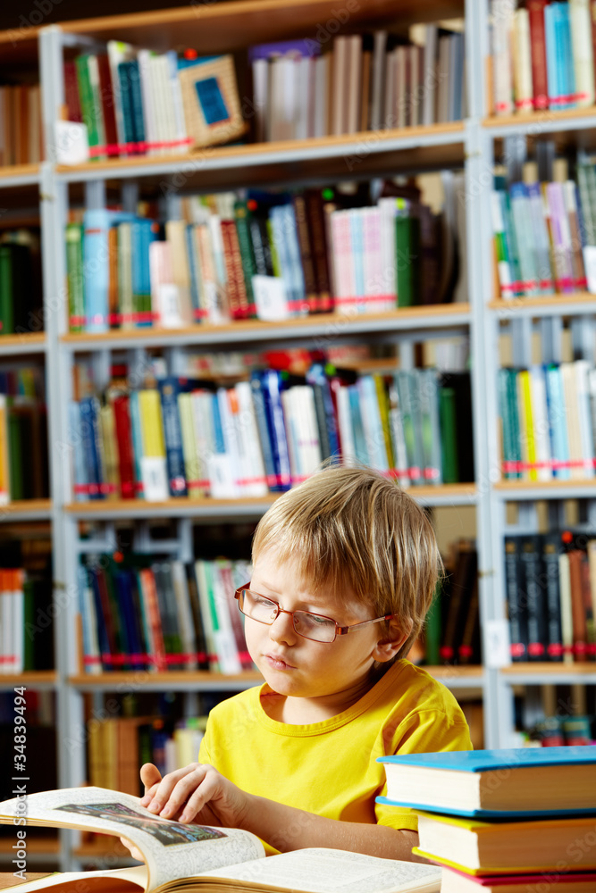 Library goer Library goer
