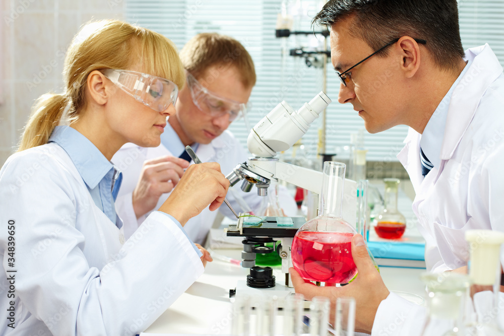 Fototapeta premium Laboratory study
