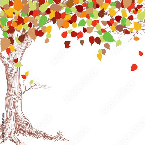 Autumn tree background