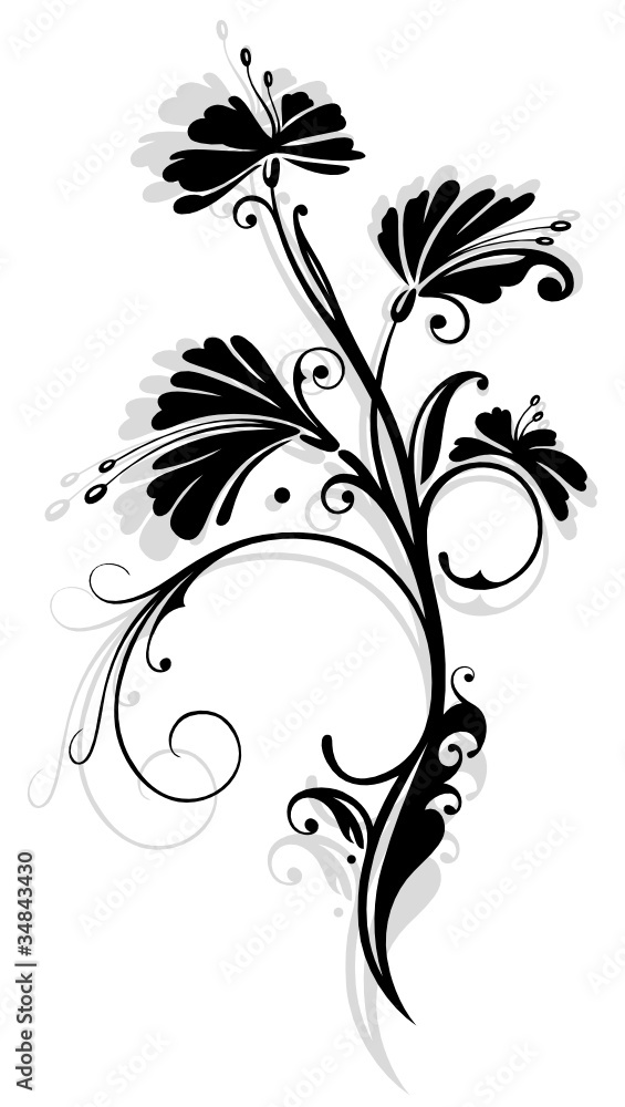 Ranke, flora, Blumen, Blüten, schwarz, grau Ranke, flora, Blumen, Blüten, schwarz, grau