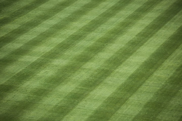Baseball Stadium Grass