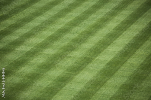 Baseball Stadium Grass