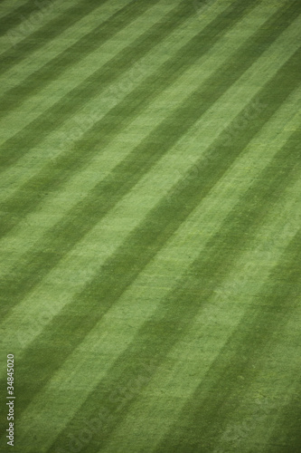 Fresh Outfield Grass
