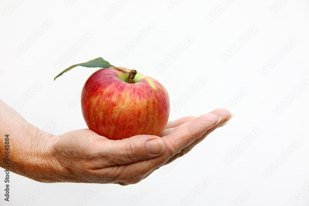 der Apfel der Apfel
