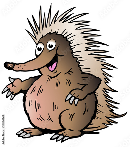 Hand-drawn Vector illustration of an Echidna