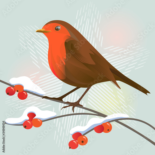 Robin&snowflake