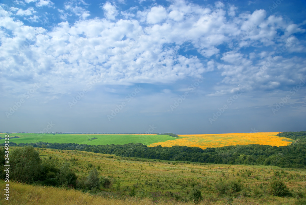 Yellow-green field. Foothills of the Kuban.