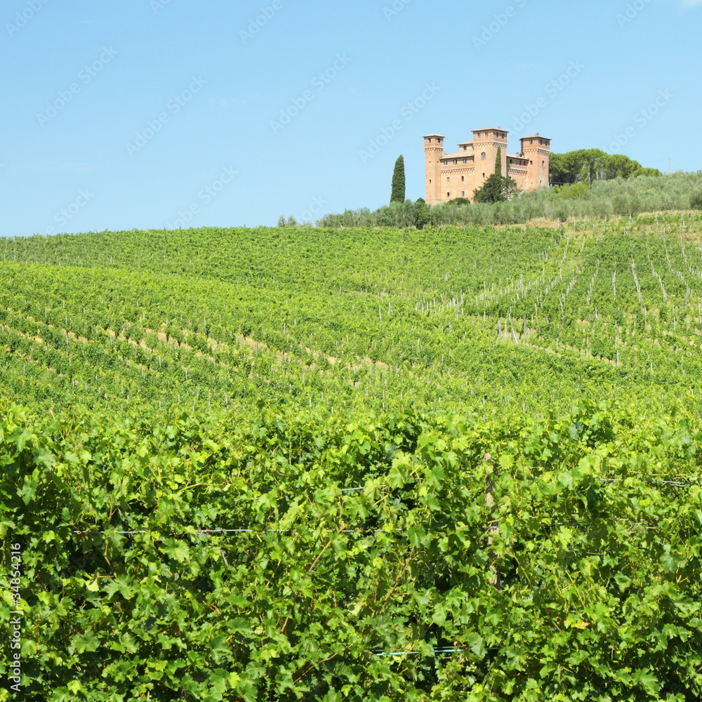 Castle Quattro Torri ( four towers) and vineyards in Tuscany