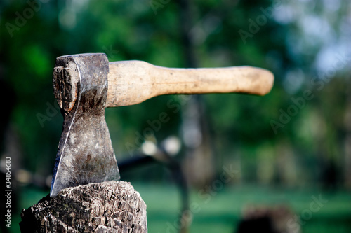 axe in the stump photo