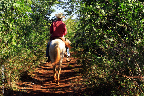 Cavalier sur un sentier de la vallée de Vinales à Cuba