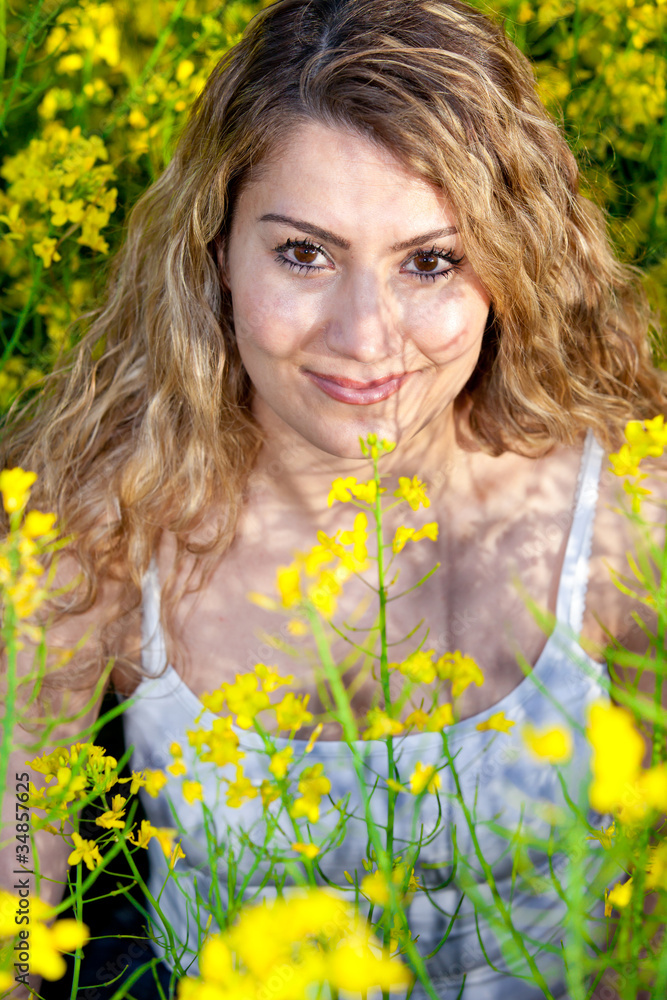 Summer Meadow Summer Meadow