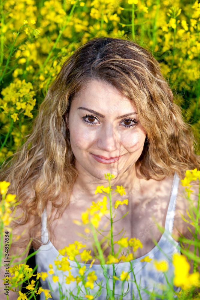 Summer Meadow Summer Meadow
