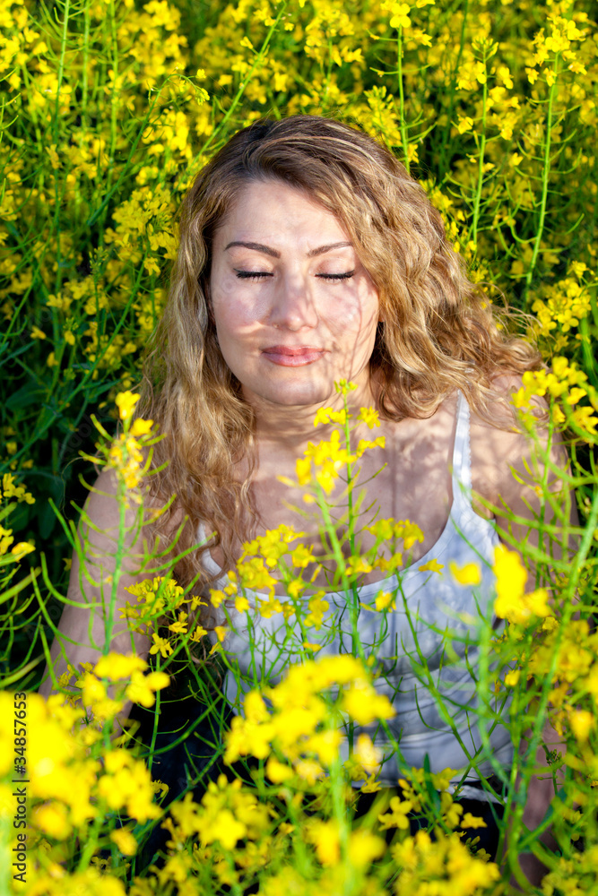 Summer Meadow Summer Meadow