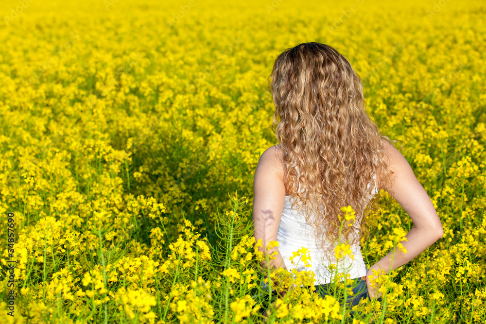 Fototapeta premium Summer Meadow