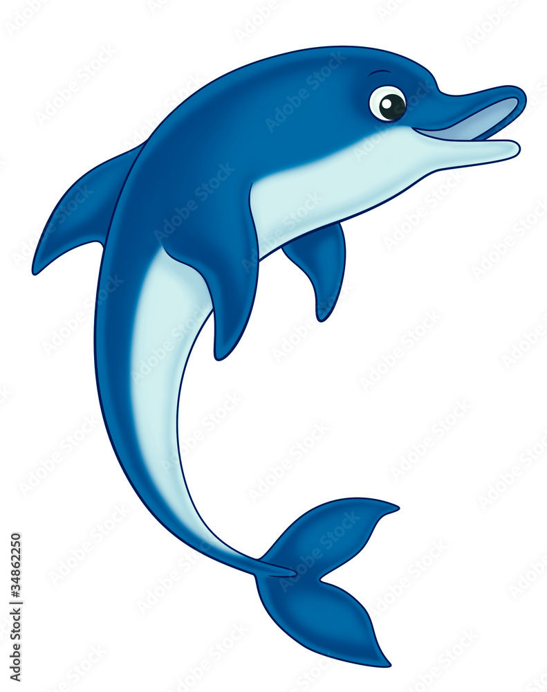 Obraz premium dolphin